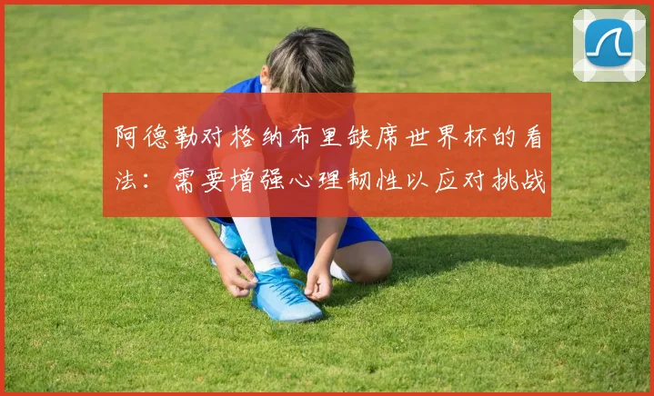 阿德勒对格纳布里缺席世界杯的看法：需要增强心理韧性以应对挑战